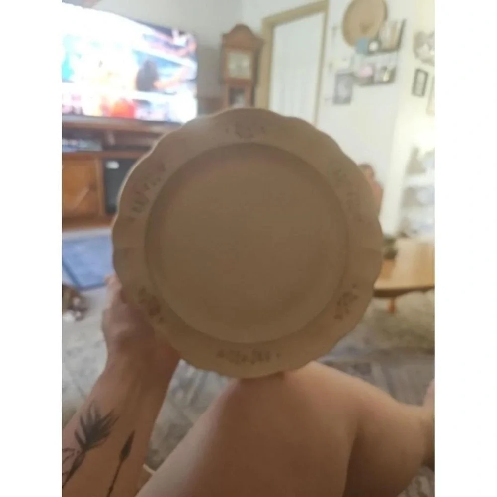 Pfaltzgraff dinnerplate  featuring a beige  with a scalloped edge. Set of 2